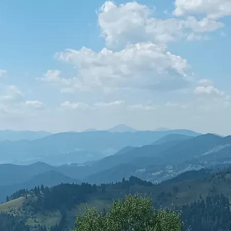 Dream House Krivorovnya