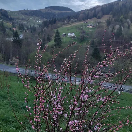 Dream House בית נופש Krivorovnya