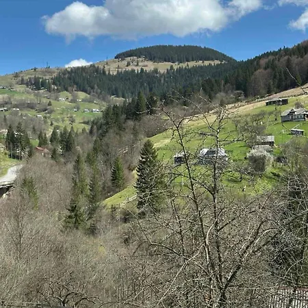 Dream House בית נופש Krivorovnya